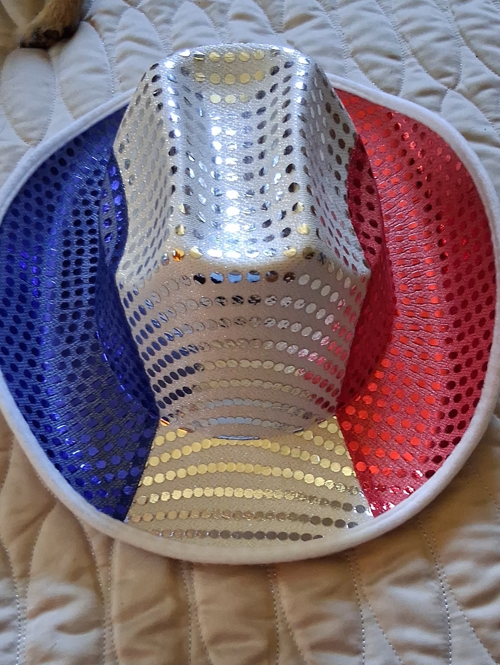Patriotic Sequin Cowboy Hat - Red, White & Blue Party Hat